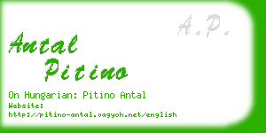 antal pitino business card